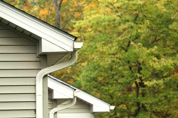 Gutter Repair and Replacement Services